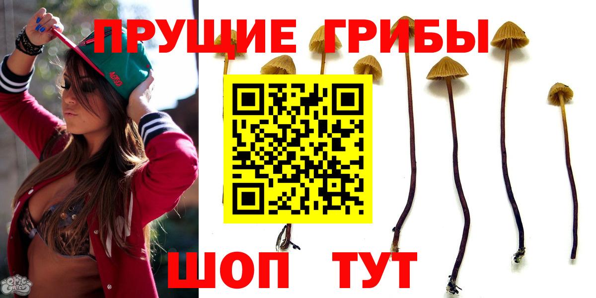 Галлюциногенные грибы ЛСД  купить  сайты  Тавда  Вход с VPN 