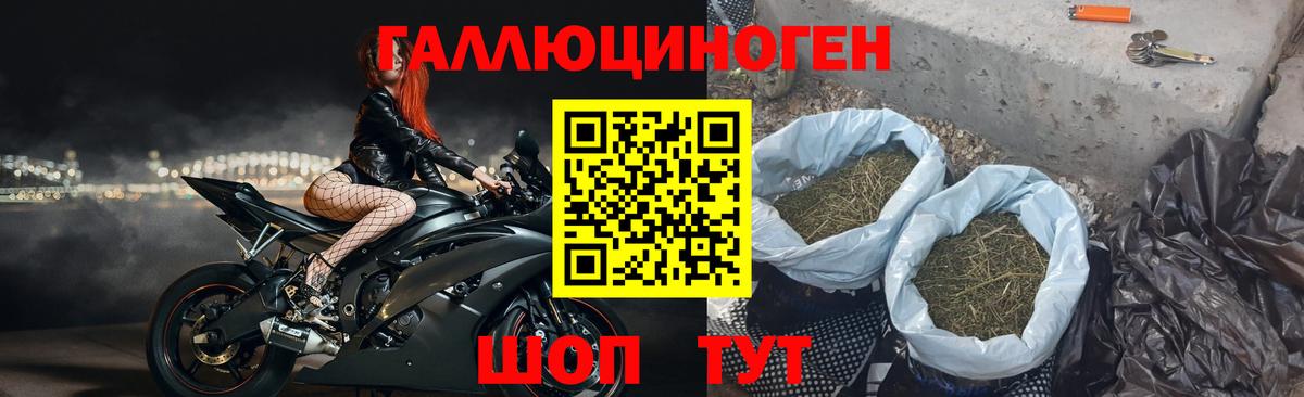 Галлюциногенные грибы MAGIC MUSHROOMS Тавда