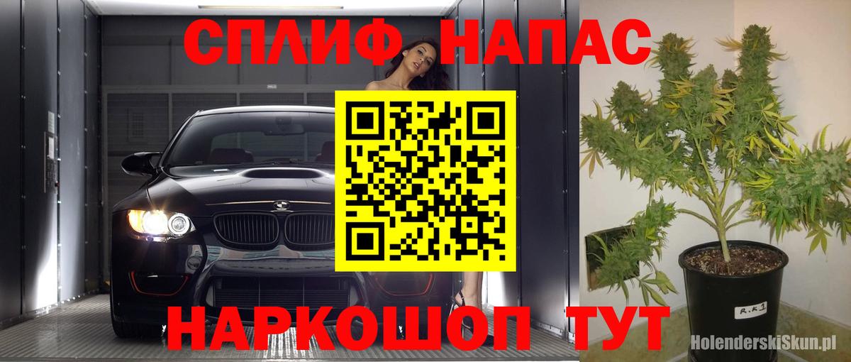Шишки марихуана сатива Тавда